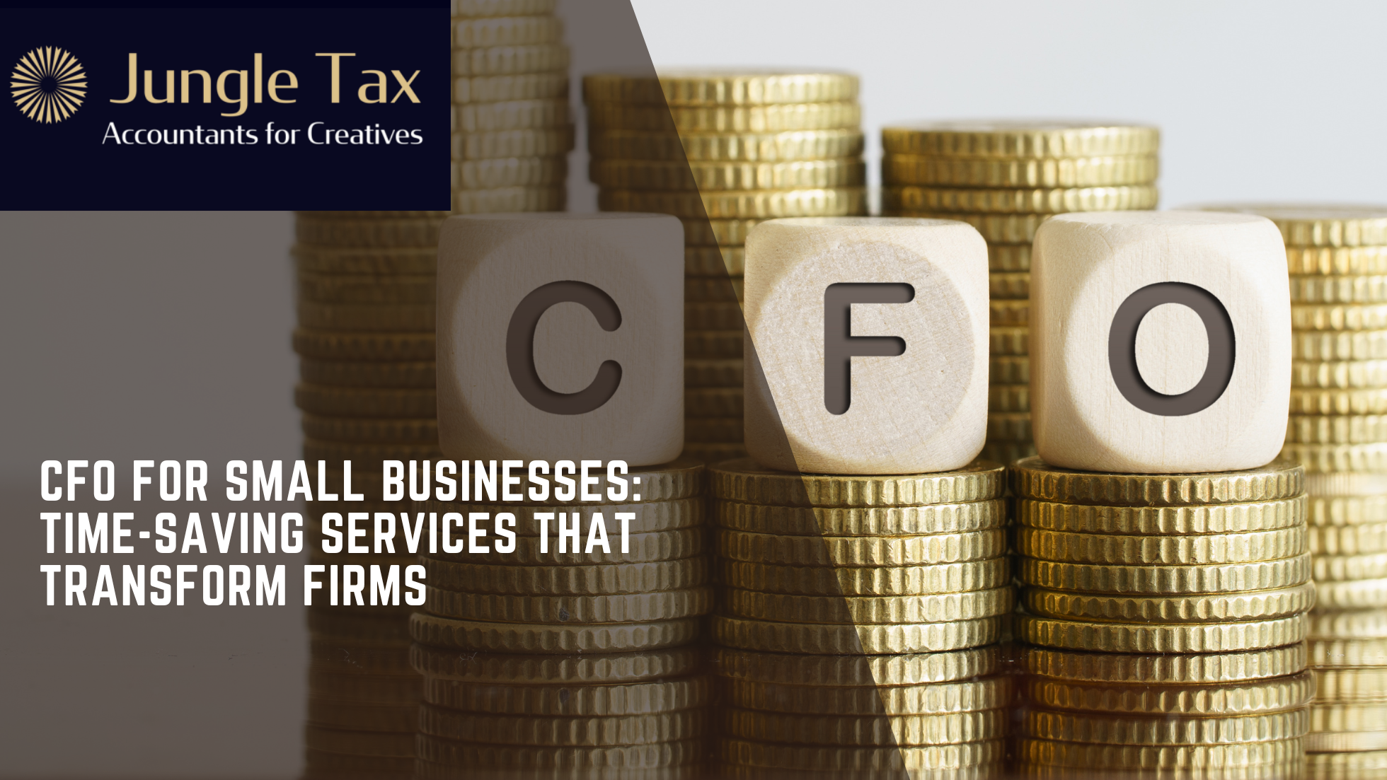 CFO for Small Businesses