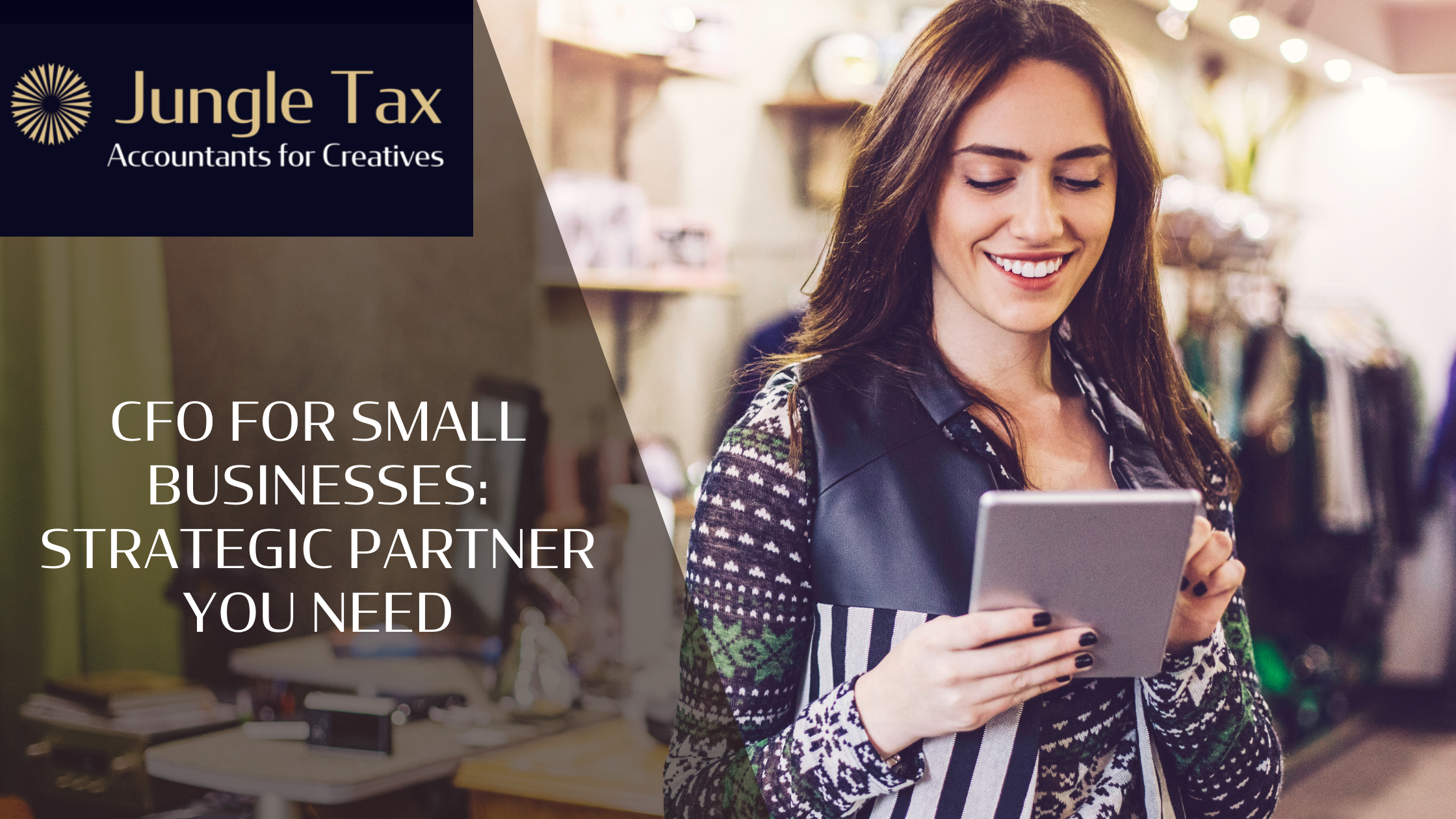 CFO for Small Businesses