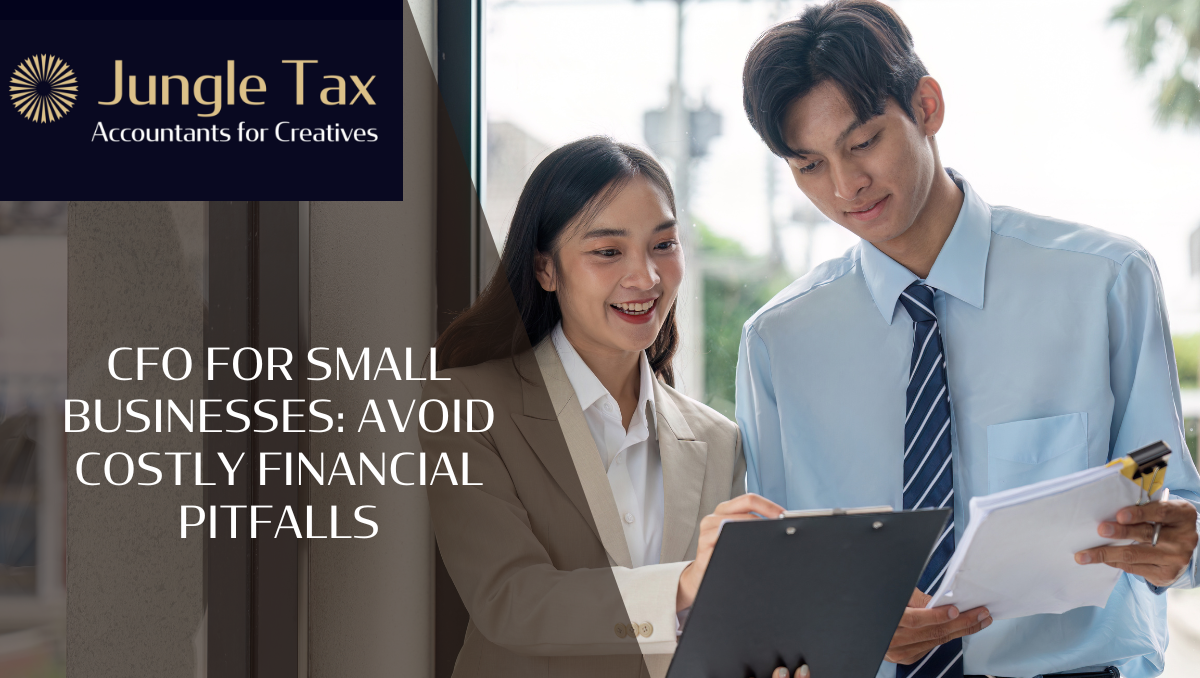 CFO for Small Businesses