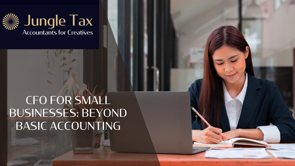 CFO for Small Businesses