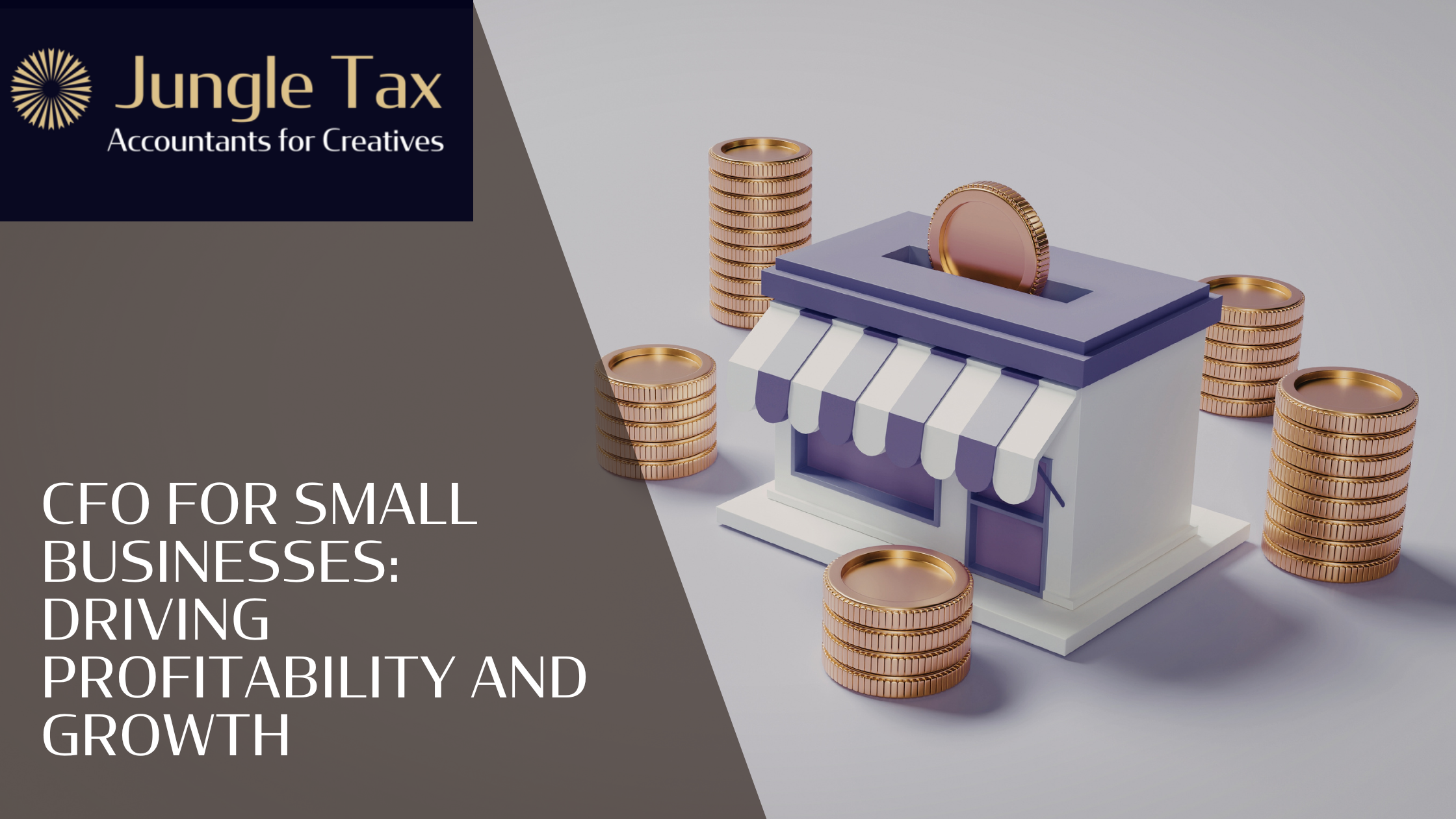 CFO for Small Businesses