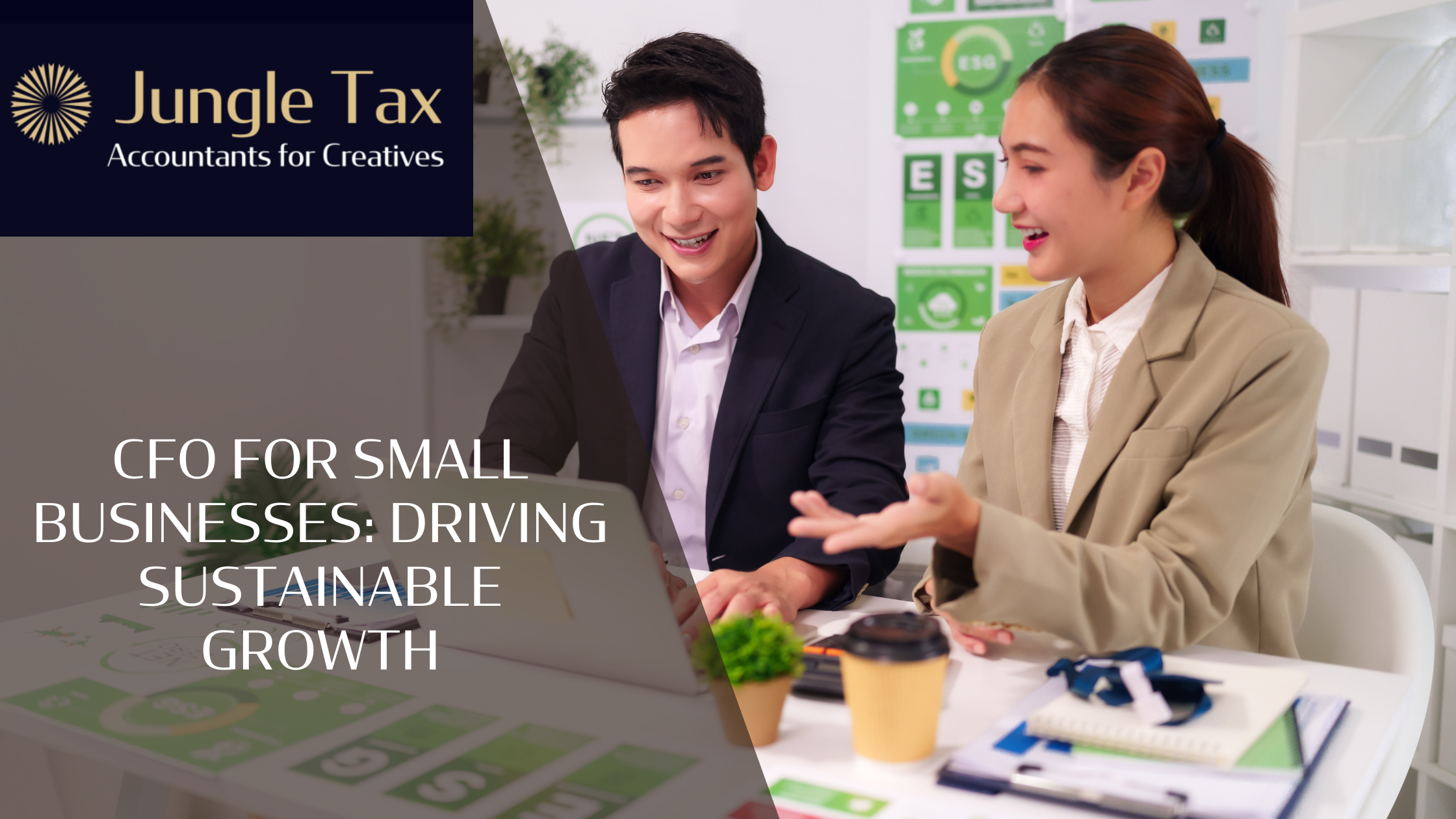 CFO for Small Businesses