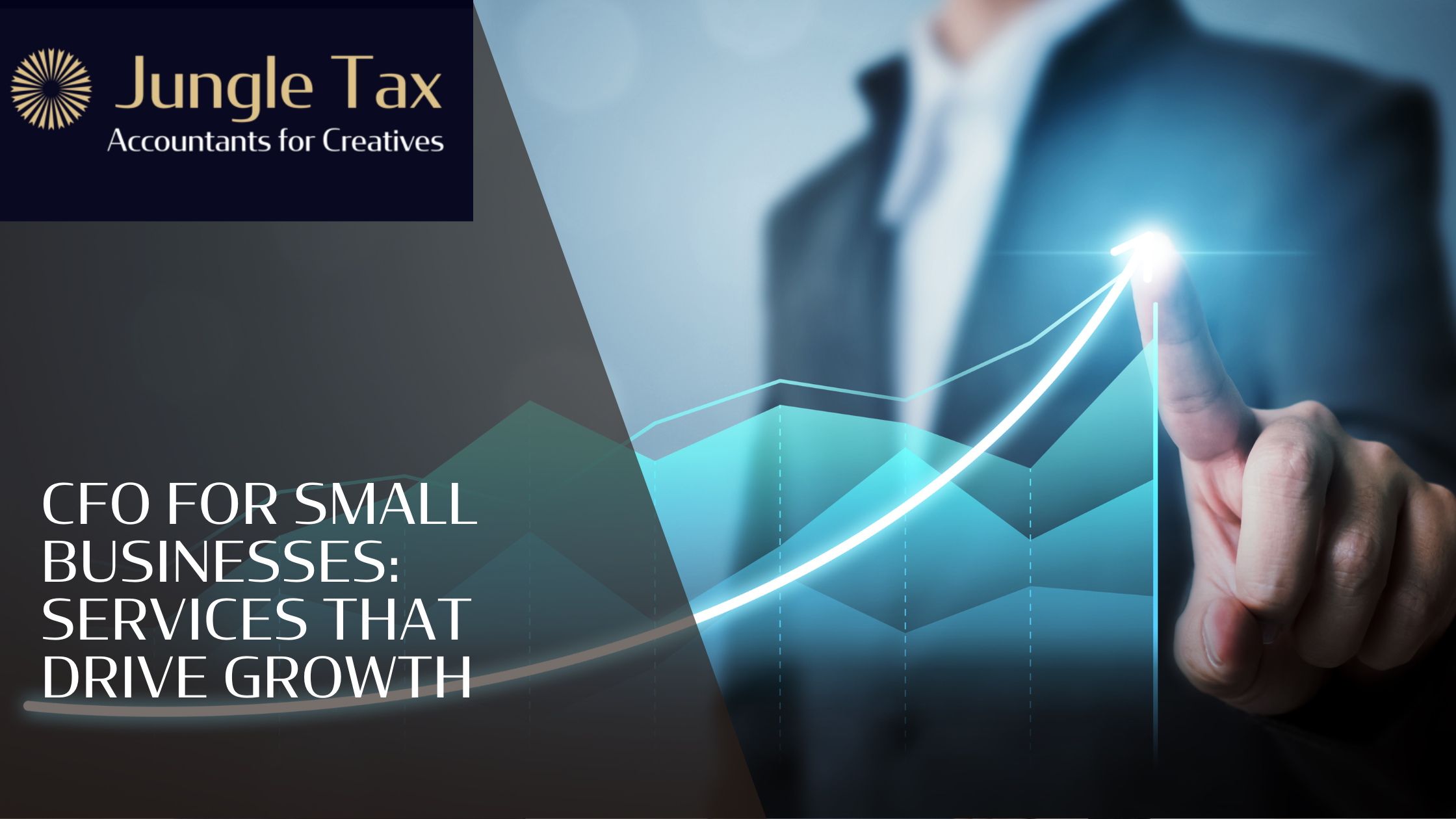 CFO for Small Businesses