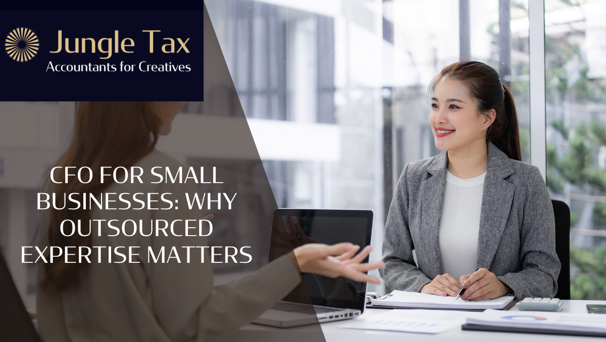 CFO for Small Businesses
