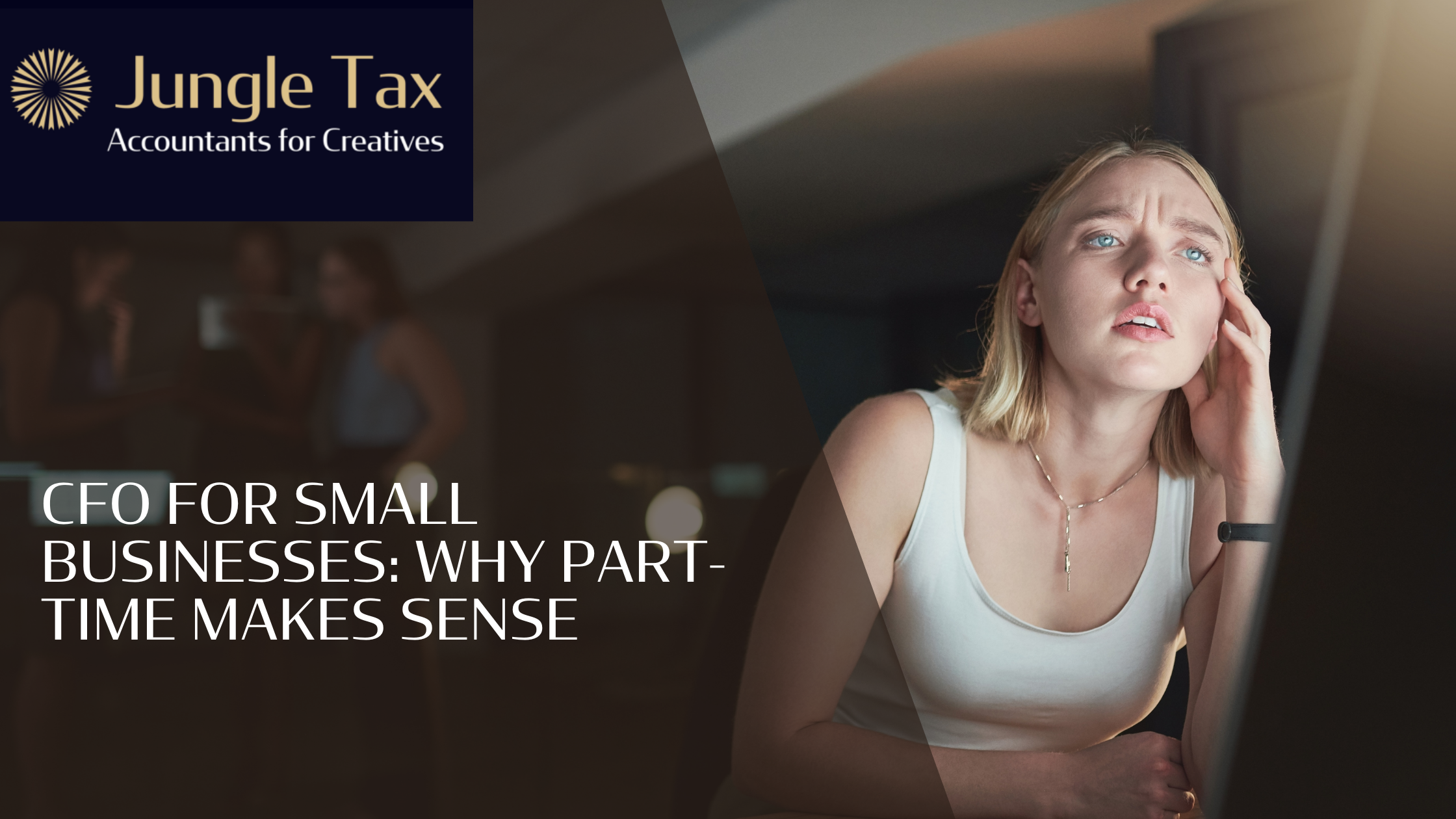 CFO for Small Businesses