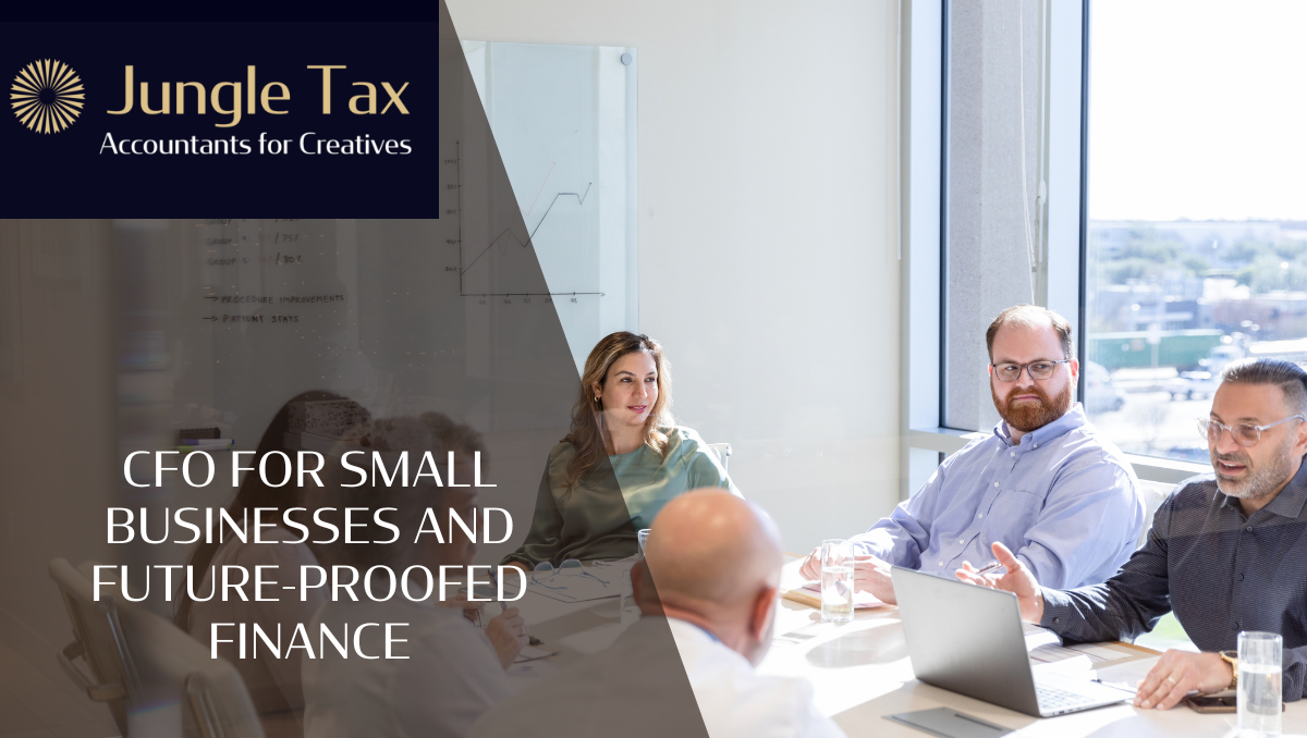 CFO for small businesses