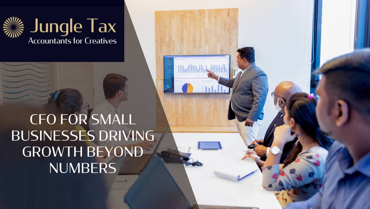 CFO for small businesses
