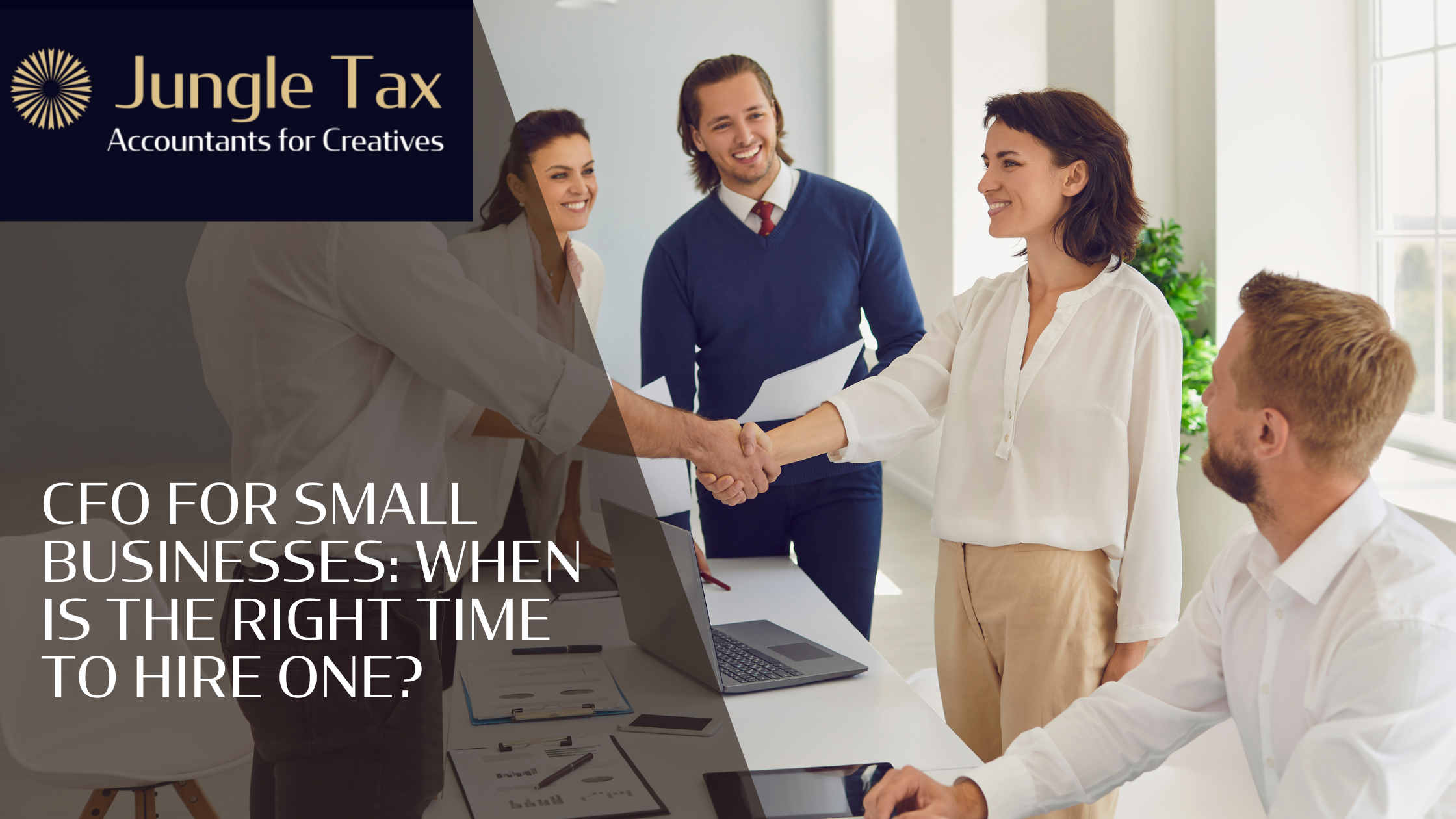 CFO for small businesses