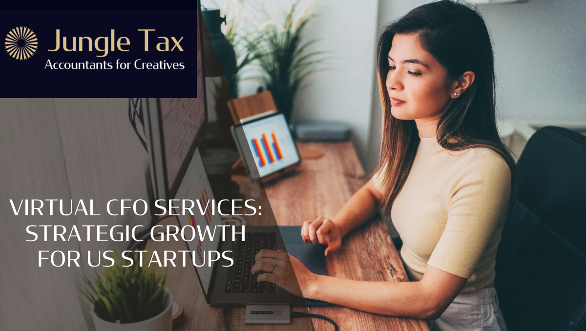 Virtual CFO Services