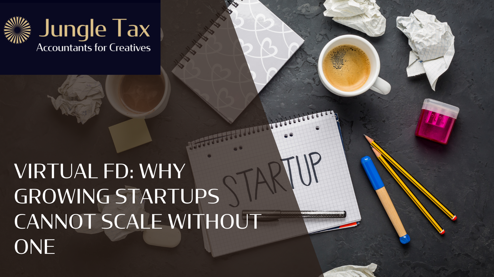 Virtual Finance Director Services