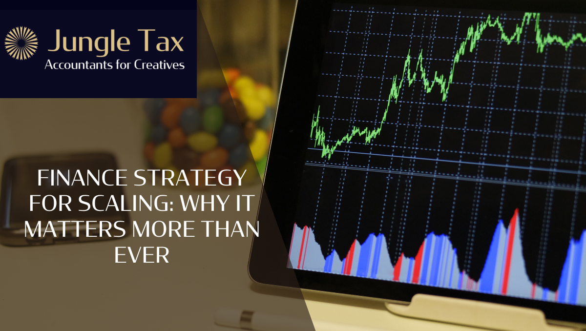 Finance Strategy for Scaling