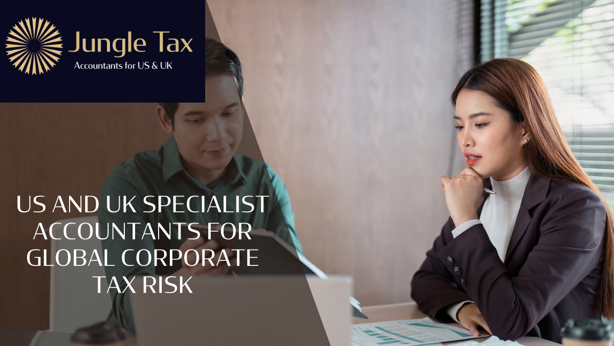 US and UK specialist accountants