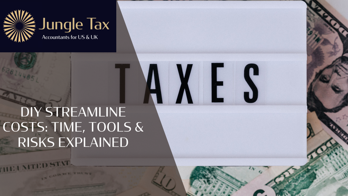 DIY IRS Streamline Costs