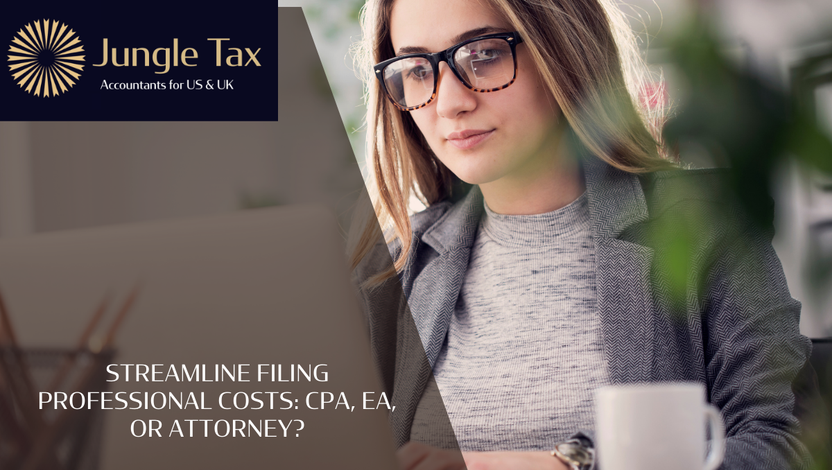 Streamline Filing Professional Costs