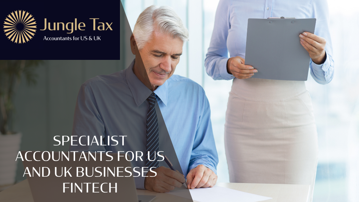 Specialist Accountants For US And UK Businesses Fintech
